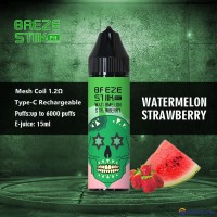 Breze Stiik Fit 6k Puffs Disposable Vape Pod E Juice Bottle Mesh Coil Wholesale
