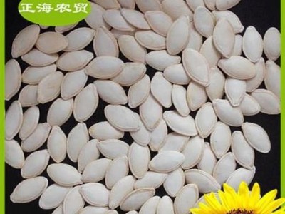pumpkin seed