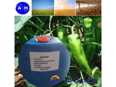 Amino Acid ( Liquid )
