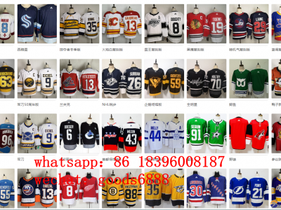 NHL NCAA New Jersey Customized Wholesale Predator Red Knight Toronto Maple Leafs