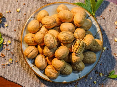 Bulk supply of Xinjiang Xiner Walnut