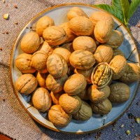 Bulk supply of Xinjiang Xiner Walnut