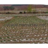 Soil improver  ADDEZ® SB