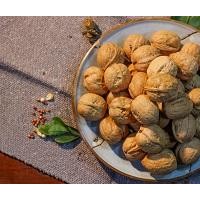 Bulk supply Xinjiang 185 walnut