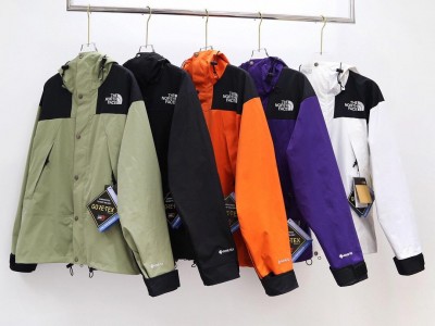 2021 New Style  The North Face down jacket down coats The North Face puffy logo