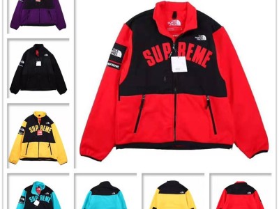 The North Face         TNF 19ss Arc Logo Denali Fleece Velet Jacket Coat