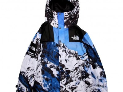 The North Face TNF Outdoor Jacket Mens Womens Mountain Wear Winter Coat