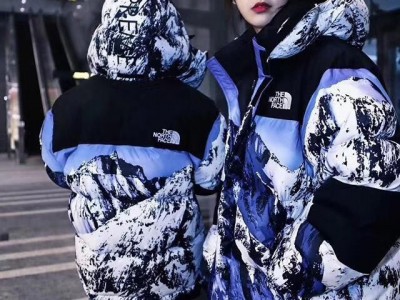 The North Face TNF Down Coat Snow Down Jacket Outdoor Jacket Winter Coat