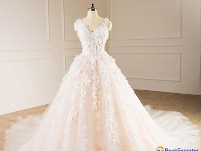 Sleeveless V-neck Bridal Dresses Lace Tulle Champagne Custom Wedding Gown E229