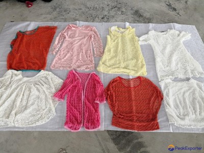 Net blouse