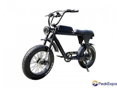 Moped Style Electric Bike