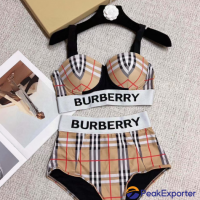 Hot sale          Bikini Two Piece Bathing Suit Women Swimsuits Summer Swimwear