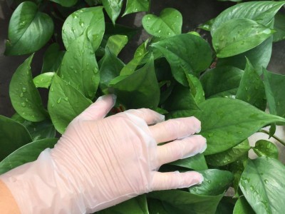 Disposable CPE gloves for food preparing