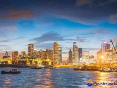 E-Commerce Logistics By E-commerce Platforms