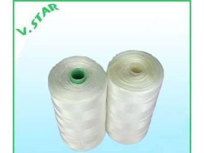 Polyamide  6 fishnet twine/thread