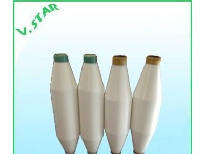 Monofilament (PA, PET, PP, PE ) yarn