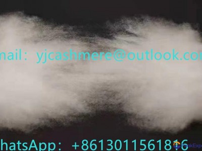 Hot sale white carded lamb wool mercerized and degreased for filling material wi