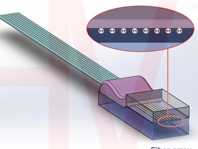 Polarization maintaining PM fiber array