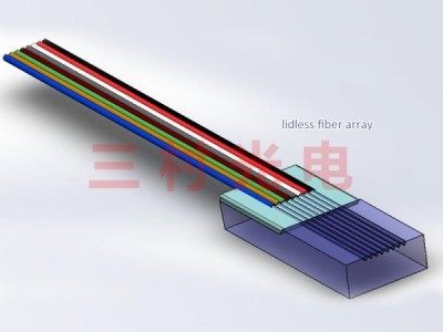 Lidless fiber array