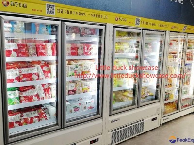 E8 PHOENIX Upright Freezer