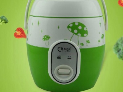 BLB C18 portable travel mini cooker