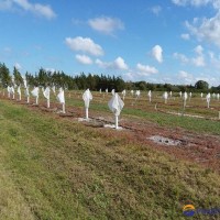 Fruit Tree Covers
