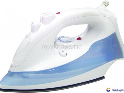 Hotel steam iron