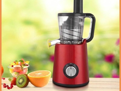 LWJ-801C  Masticating Slow Juicer