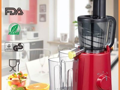 Vertical Single Auger Slow Juicer