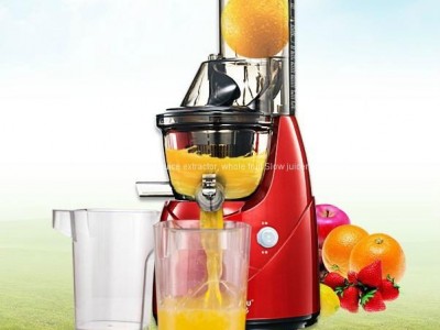 Household Juice extractor Kitchen whole fruit slow juicer