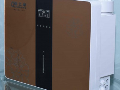 Home water purifier