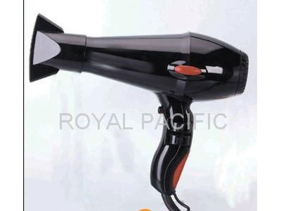 Professional hair dryer