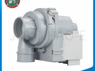 Dishwasher washing pump motor