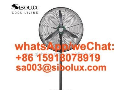26inch 30 inch industrial pedestal fan/electric ventilador standing fan