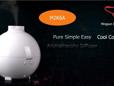 Bali Aroma Diffuser 650ML LED Light