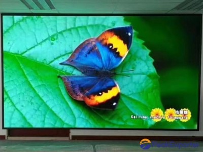 LED p2.5
