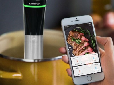 Dissna Sous Vide with Vacuum Bags Low Temperature Food Circulator Slow Cooker