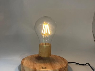 Lights Living Room Magnetic Levitating Floating light lamp bulb