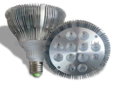 2010 led PAR lamp PAR38 12*2W (New)