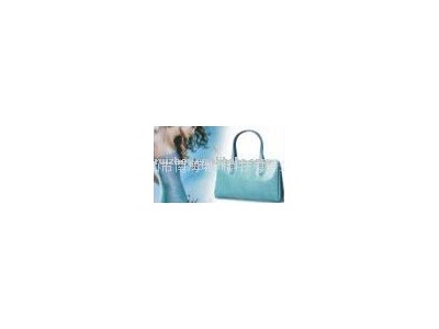 Ruizhou  Suitcase&Bag Design Software