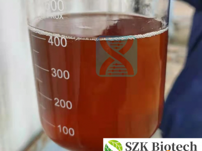 BMK Powder BMK Oil CAS 20320-59-6/5413-05-8 / 20320-59-6/Pmk 236117-38-7