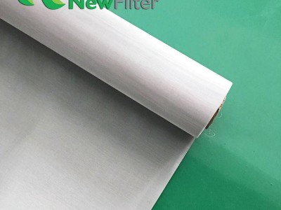 Stainless steel wire mesh Food Grade Sus304/316L