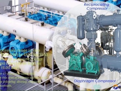 Special gas booster Compressor API Standard 618 Oil Free Reciprocating Fuel Gas