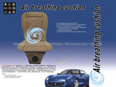 Air breathing cushion