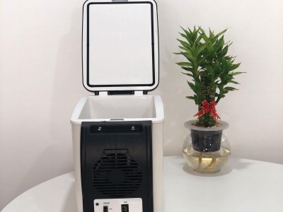 Portable Mini Fridge 6L Car Fridge 12V Outdoor Refrigerator Indoor