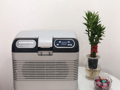 Portable Mini Fridge 12L Car Fridge 12V 24V Outdoor Refrigerator Indoor