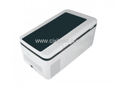 12V 24V DC Car Fridge Mini Freezer Car Refrigerator BF-209