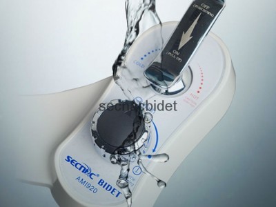 AMI920 Non electric bidets with hot water function
