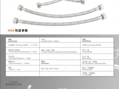 Gas Hose