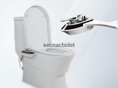 AMI610 Hot and cold water bidet with double nozzles